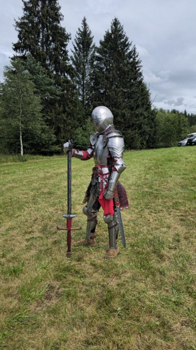 Voller Harnisch, Profilansicht